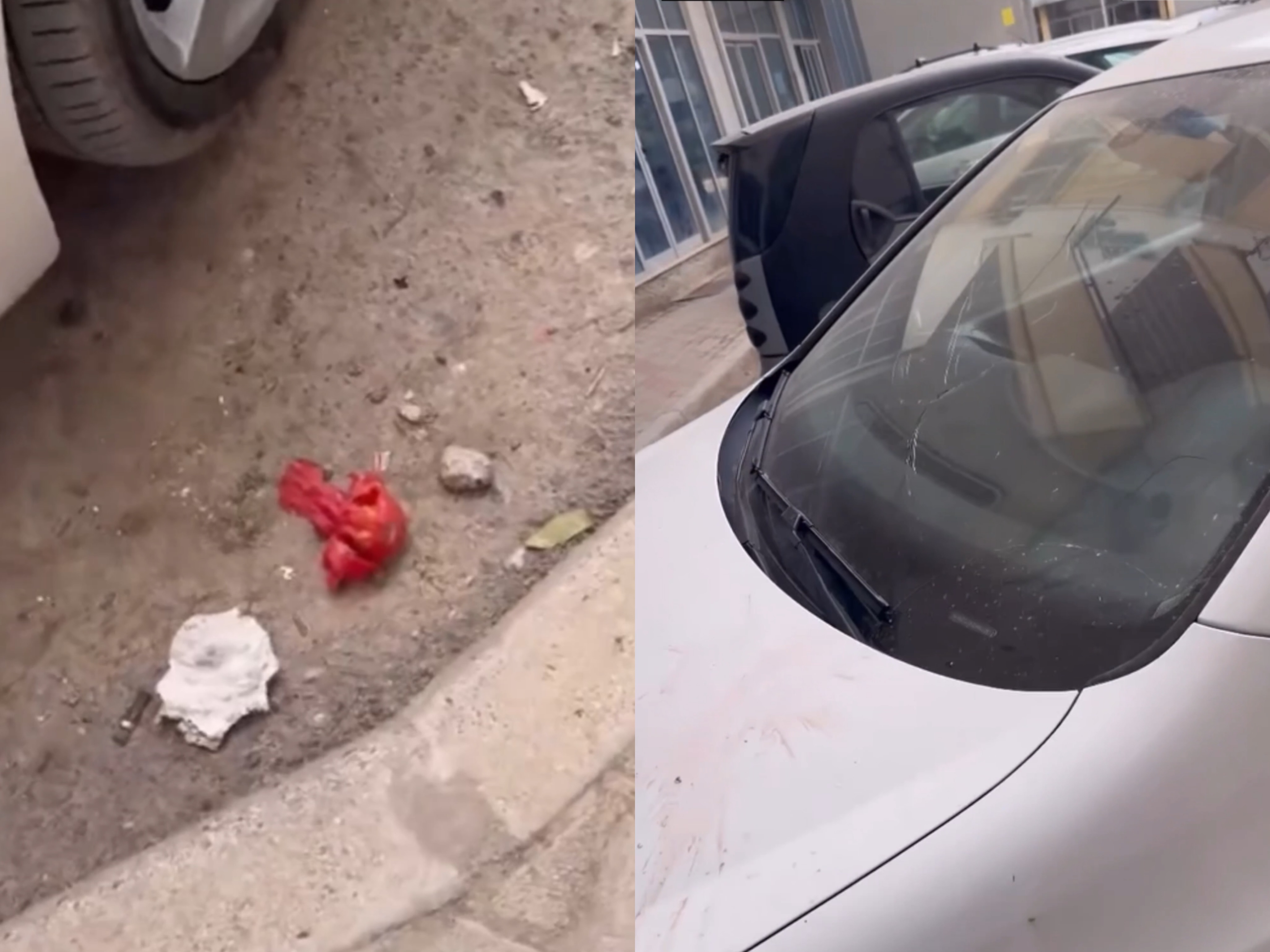  Na ka terrorizuar pallatin   banorët në Fresk denoncojnë të moshuarën  Hedh gjithçka poshtë