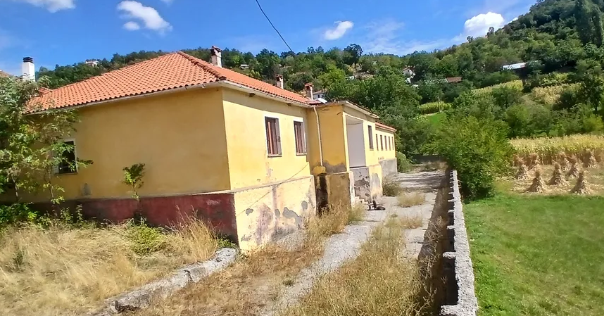 Nxënësit në Rrajcë përballen me hardhuca e gjarpërinj në shkollë