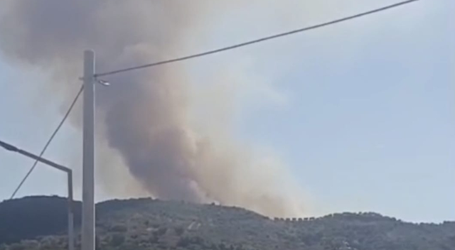 Zjarri në Greshicë, humb jetën 70-vjeçari gjatë përpjekjes për ta shuar