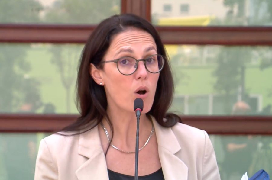 Delina Ibrahimaj  Po prishni imazhin e vendit tek investitorët e huaj