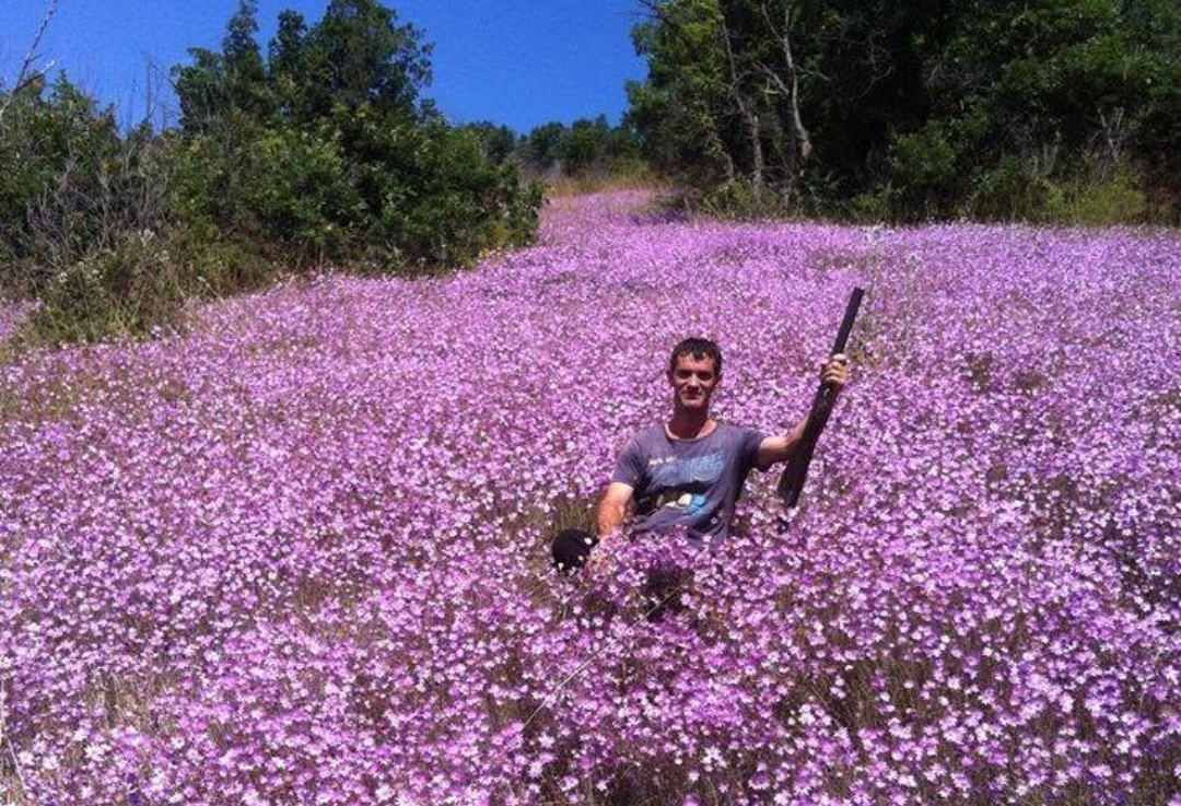 Vrau djalin e tij 29-vjeçar? Gjashtë ditë në arrati, policia ende pa gjurmë të Ramiz Arifit!