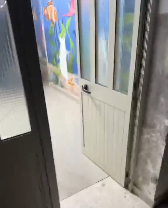 Kabllo elektrike të ekspozuara në Pediatrinë e QSUT së  rrezik për fëmijët dhe pacientët