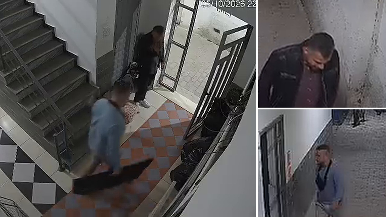 Vjedhje në hyrje të pallatit  dy persona marrin televizorin dhe sendet e një familjeje