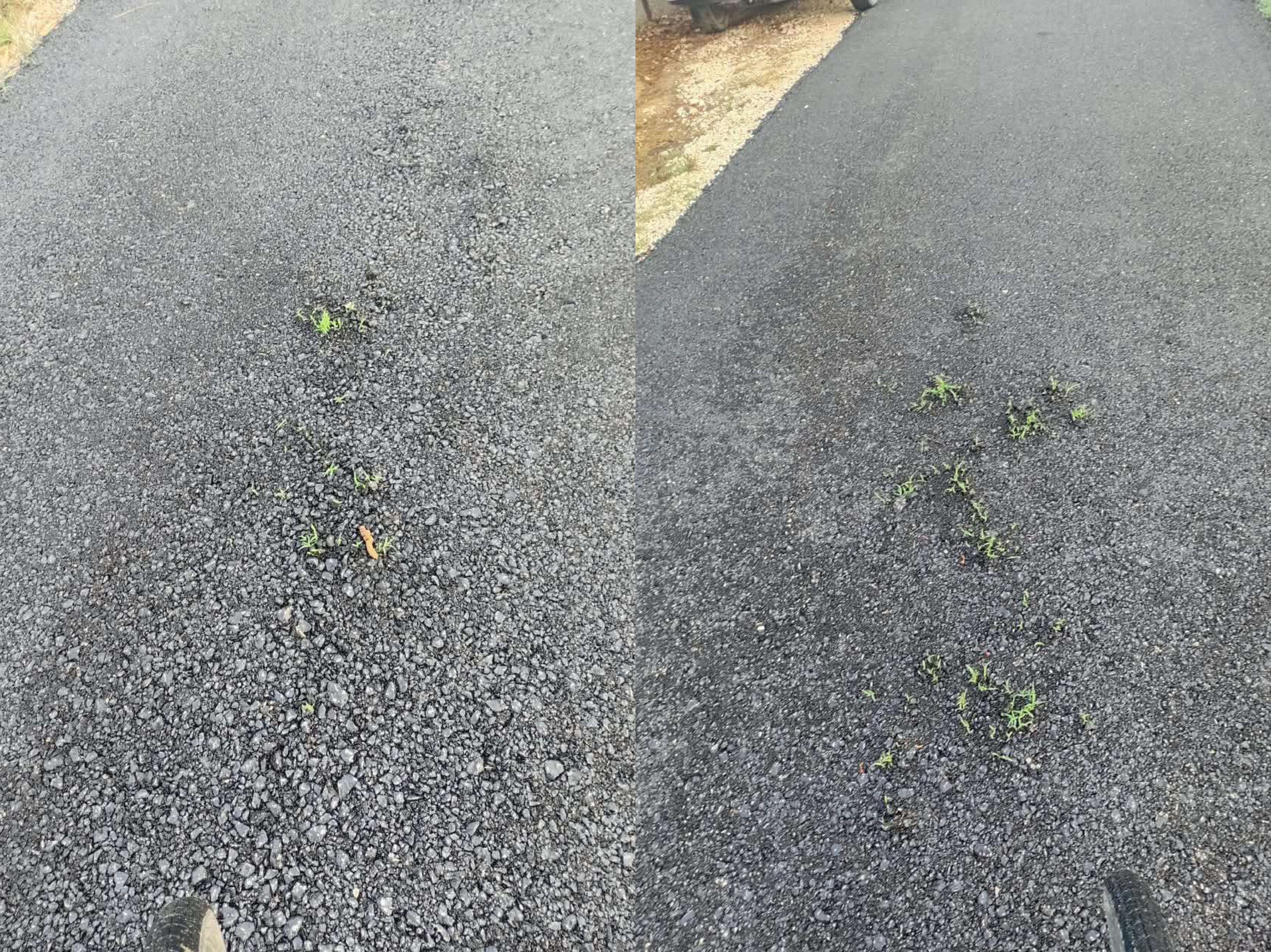 Vetëm pak ditë pas asfaltimit, në rrugën e Patosit ka mbirë bari