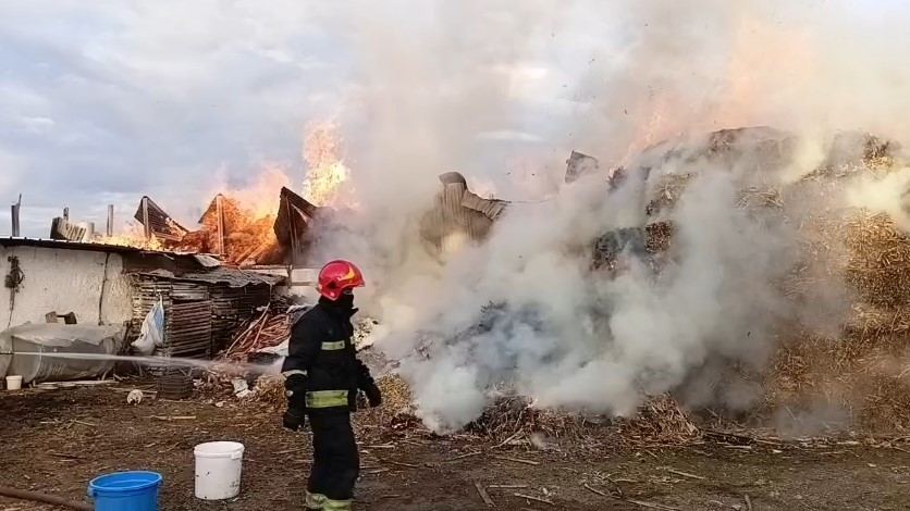 Krujë: Shkrumbohet magazina me ushqim për bagëtitë, digjen disa lopë